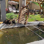 Photo n°1 de l'avis de Liliana.i fait le 23/05/2021 à 17:11 sur le  Trattoria Mezzo Canale da Ninetta à Val di Zoldo