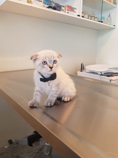 Vetmaris Veteriner Kliniği