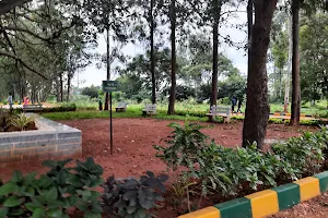 Machohalli Park (Forest Gate) image