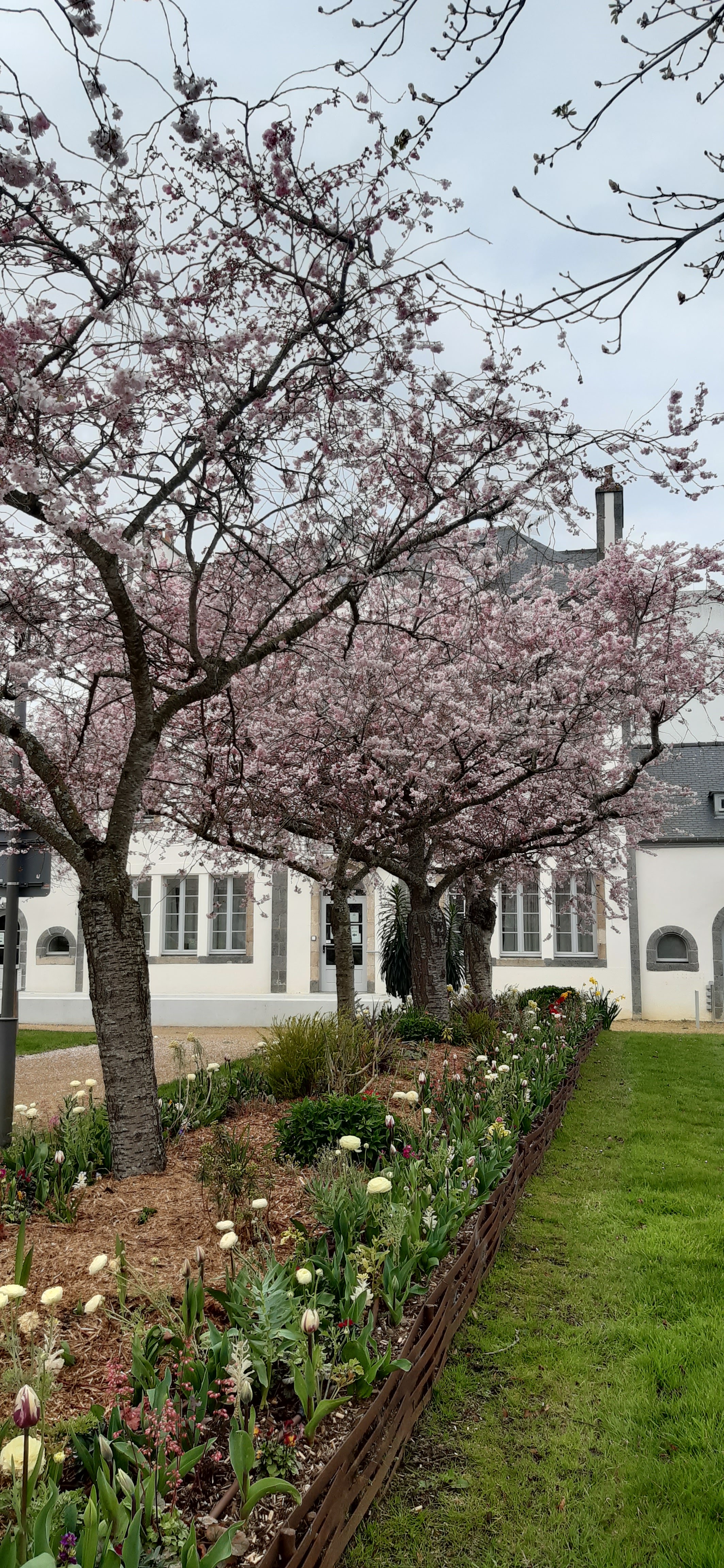 Photo n° 2 de l'avis de Germain.e fait le 20/03/2022 à 14:43