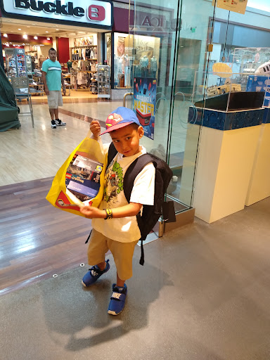 Toy Store «The LEGO Store», reviews and photos, 6170 Grand Ave, Gurnee, IL 60031, USA