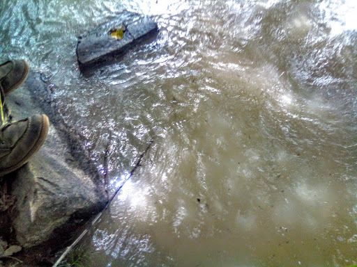 Golf Course «Riverside Disc Golf Course», reviews and photos, 7926 Riverside Rd E, Sumner, WA 98390, USA