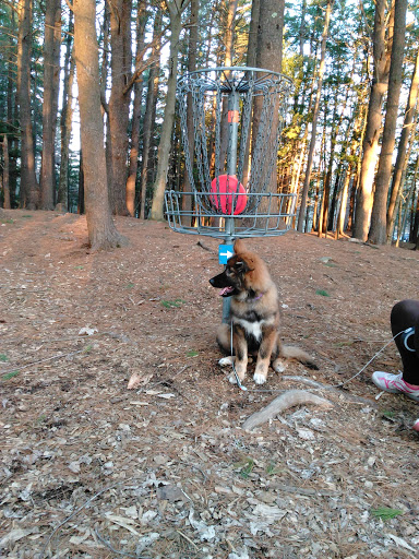 Disc Golf Course «Bellamy Park Disc Golf», reviews and photos, Bellamy Rd, Dover, NH 03820, USA