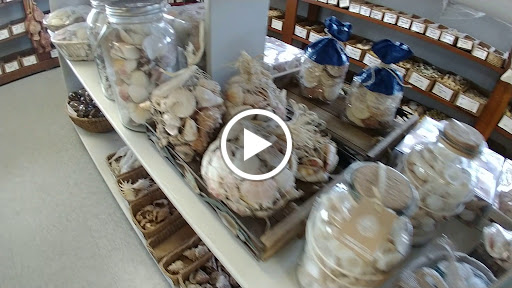 Gift Shop «Sea Shell Shoppe», reviews and photos, 120 N Austin St, Rockport, TX 78382, USA