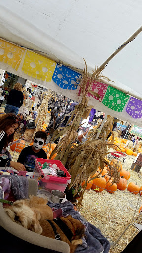 Lopez Ranch Pumpkin Patch & Christmas Trees