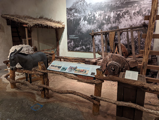 History Museum «Museum of South Texas History», reviews and photos, 200 N Closner Blvd, Edinburg, TX 78541, USA