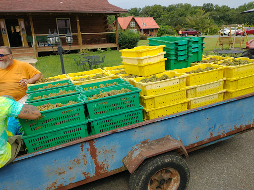 Winery «Dove Valley Vineyard», reviews and photos, 645 Harrington Rd, Rising Sun, MD 21911, USA