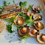 Photo n°2 de l'avis de Giuseppe.i fait le 23/05/2022 à 14:20 sur le  Ristorante ai casoni à Bibione Pineda