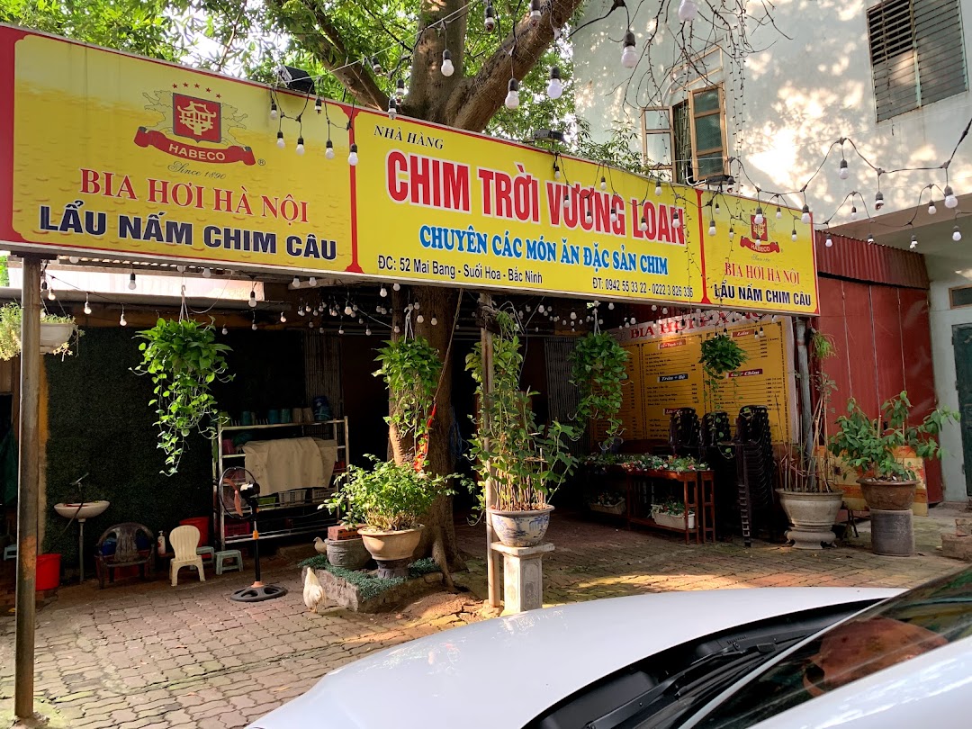 Quan chim vuong loan
