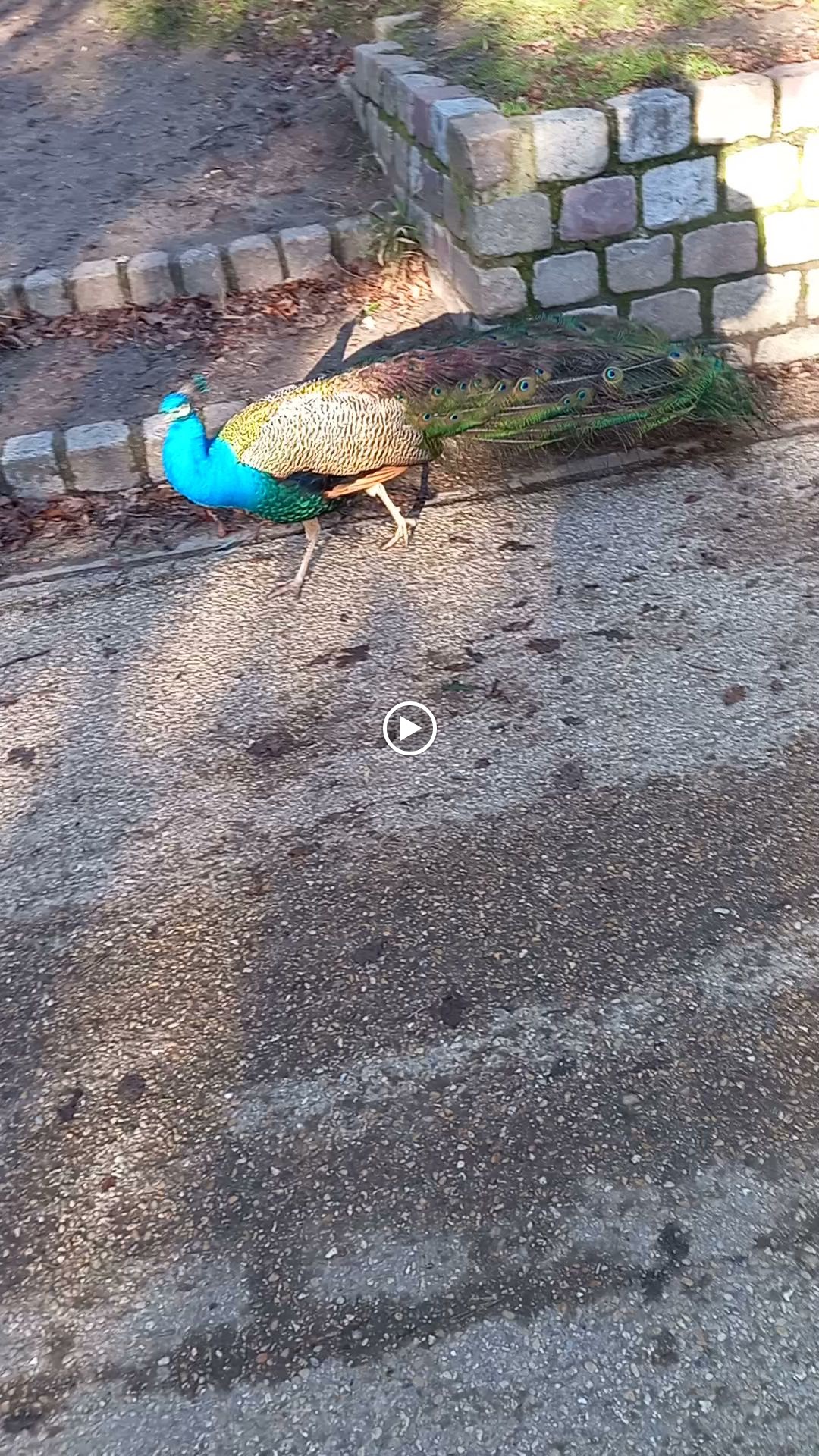 Photo n° 11 de l'avis de Loïc.o fait le 28/01/2024 à 20:24