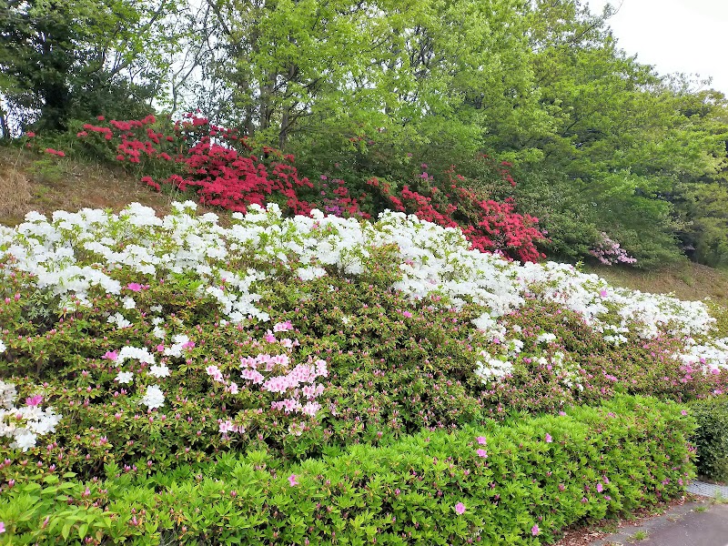 万葉公園・中央駐車場