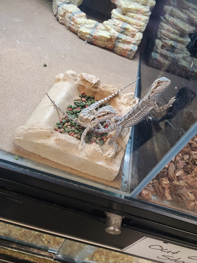 Pet Supply Store «PetSmart», reviews and photos, 601 Centerview Blvd, Kissimmee, FL 34741, USA