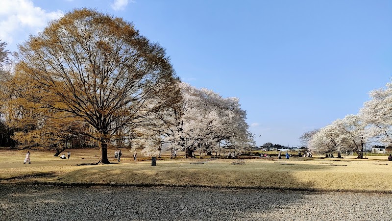 下野国分尼寺跡