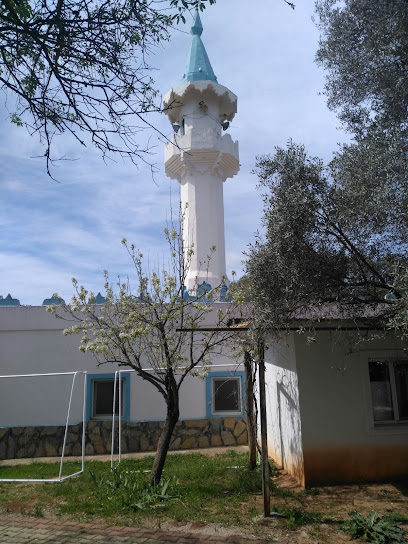 Çamlık Mahallesi Camii