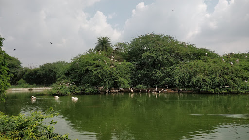 Millennium Park Delhi