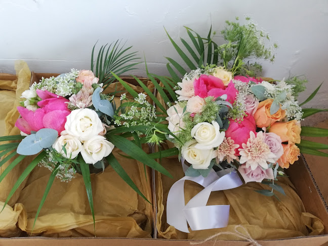 Comments and reviews of Fleur Eleise Wedding Florist