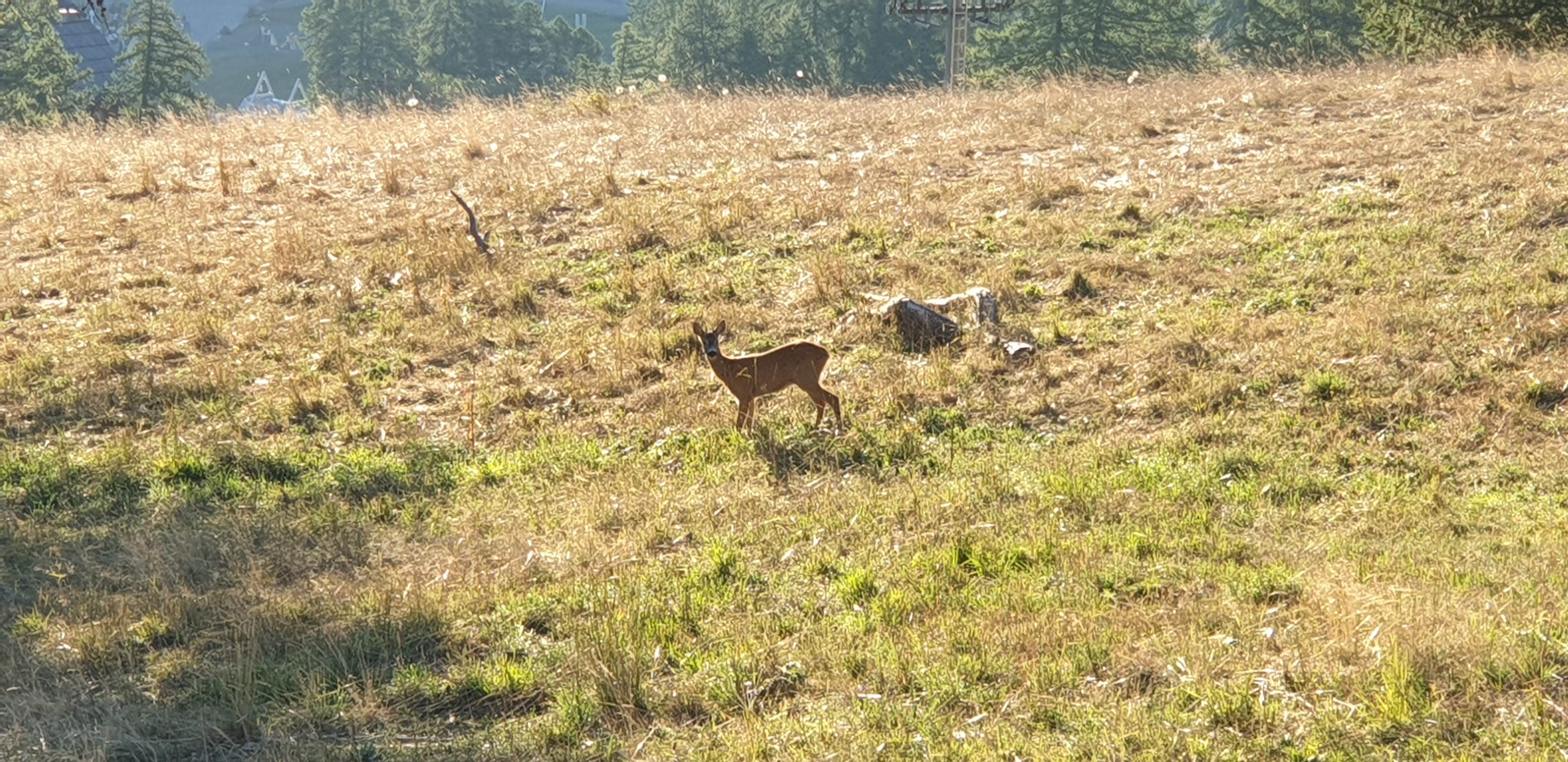Photo n° 3 de l'avis de Quelen.r fait le 16/08/2022 à 20:48