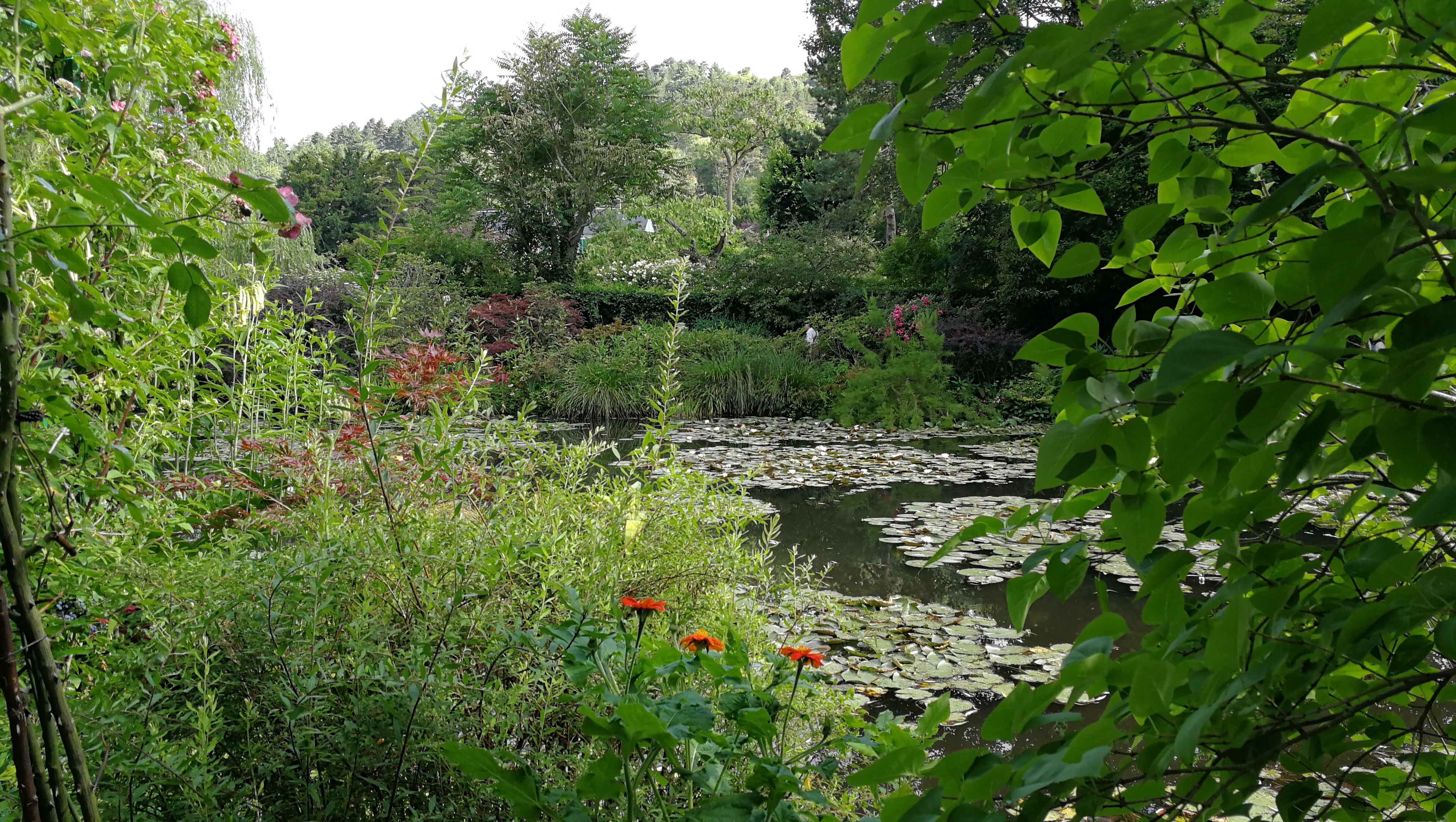 Photo n° 12 de l'avis de barbe.e fait le 10/07/2018 à 17:25