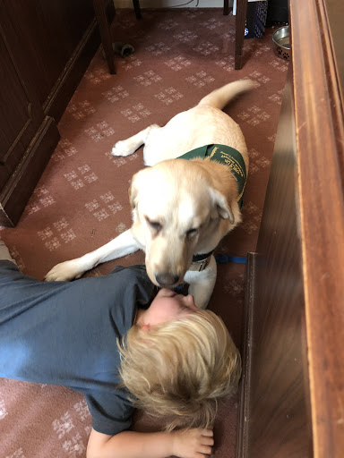 Funeral Home «G H Herrmann Funeral Homes», reviews and photos, 5141 Madison Ave, Indianapolis, IN 46227, USA