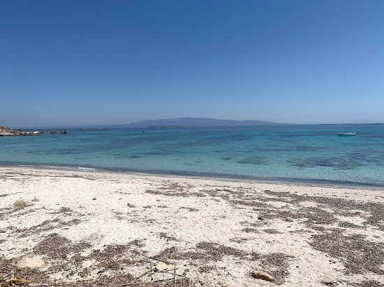Saline Cove