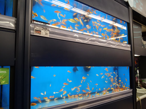 Pet Supply Store «Petco Animal Supplies», reviews and photos, 101 Hale Rd, Manchester, CT 06042, USA