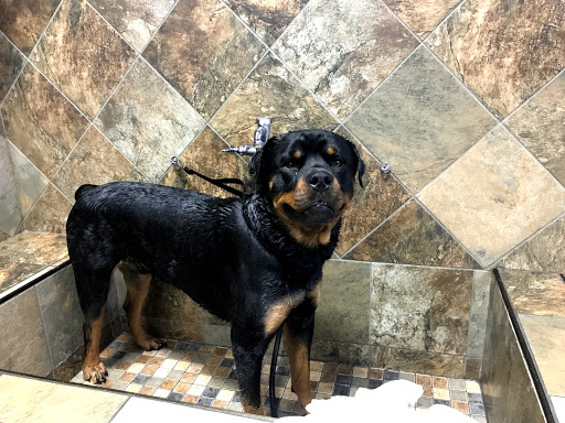 Pet Supply Store «Pet Valu», reviews and photos, 411 Valley Brook Ave, Lyndhurst, NJ 07071, USA