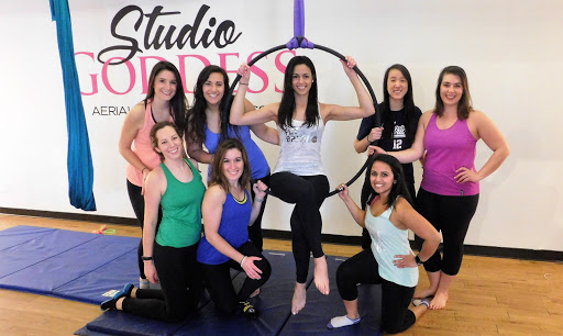 Dance School «Studio Goddess: Aerial Dance Fitness & Pole Dance Parties», reviews and photos, 919 8th Ave S #1, Nashville, TN 37203, USA