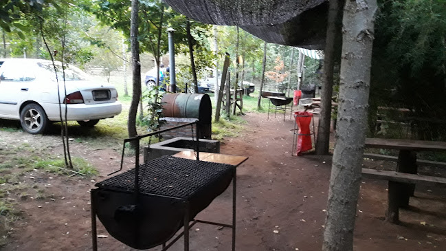 Camping Pincheira Millar.