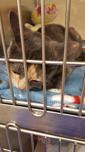 Pet Supply Store «PetSmart», reviews and photos, 5005 S 74th St, Greenfield, WI 53220, USA