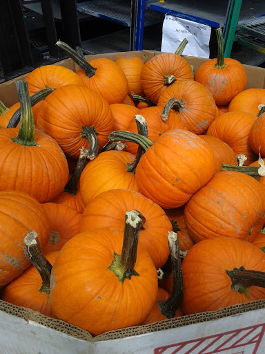 Florist «Metropolitan Plant & Flower Exchange Inc.», reviews and photos, 2125 Fletcher Ave, Fort Lee, NJ 07024, USA