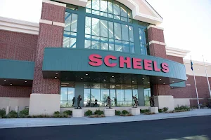 Scheels image