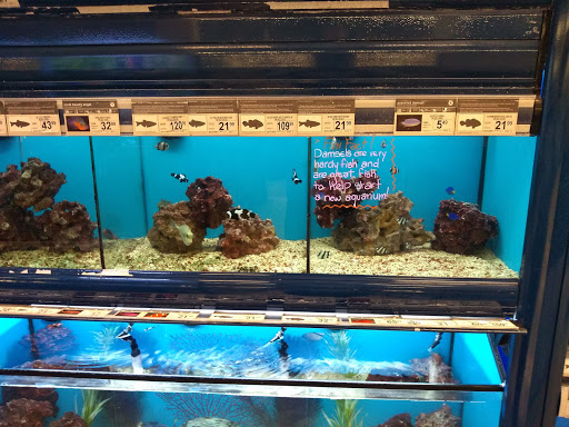 Pet Supply Store «Petco Animal Supplies», reviews and photos, 860 Broadway, New York, NY 10003, USA