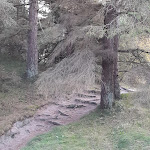 Photo n°10 de l'avis de Cornelia.i fait le 26/10/2022 à 17:38 sur le  Das Frühstückshotel SPO à Sankt Peter-Ording