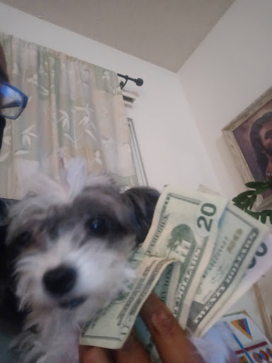 Friends of Upland Animal Shelter image