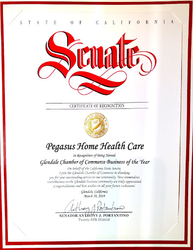 Pegasus Home Health Care, Home Care, Personal Care and Caregivers