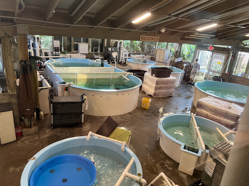 Science Museum «Marine Science Center», reviews and photos, 100 Lighthouse Dr, Ponce Inlet, FL 32127, USA