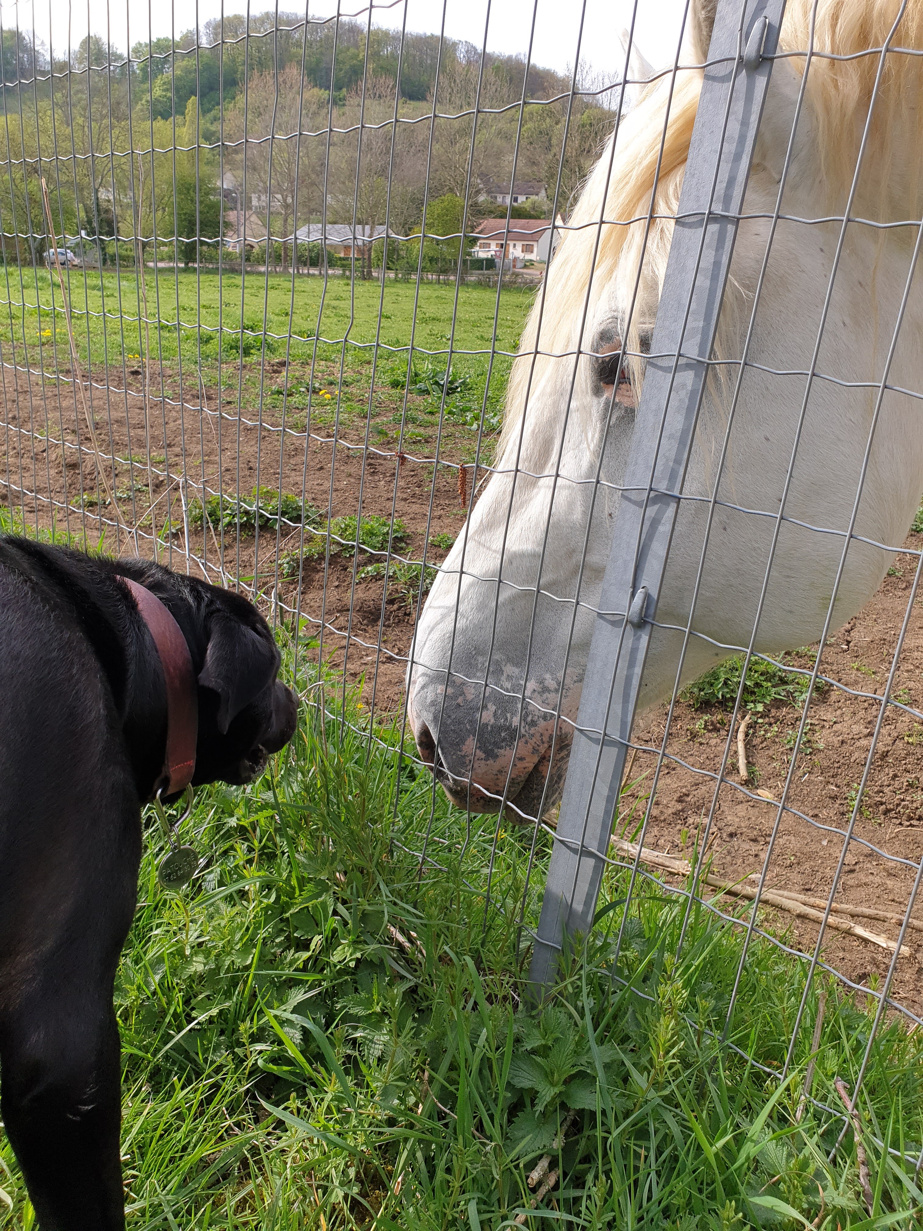 Photo n° 2 de l'avis de Cynthia.a fait le 23/04/2019 à 23:37