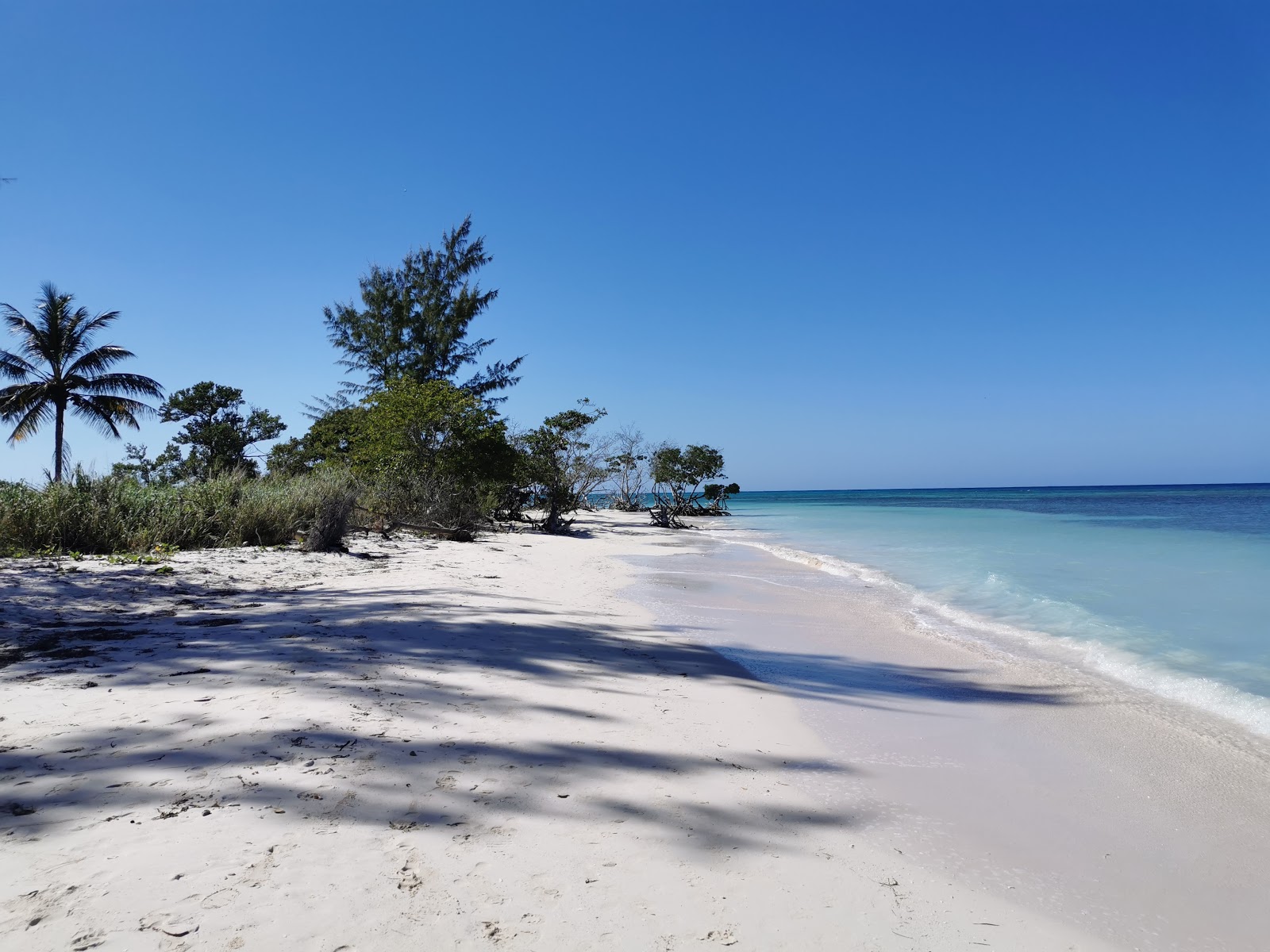 Foto di Cayo Jutia beach con molto pulito livello di pulizia