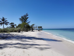 Cayo Jutia beach'in fotoğrafı imkanlar alanı