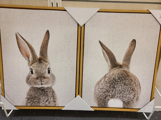 Department Store «HomeGoods», reviews and photos, 3102 Plank Rd, Fredericksburg, VA 22401, USA