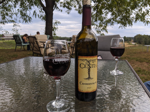 Winery «CeNita Vineyards, Winery & Tasting Room», reviews and photos, 591 Dock Dorsey Rd, Cleveland, GA 30528, USA