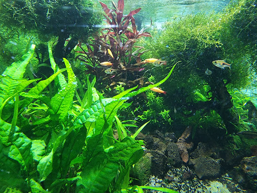 Pet Store «Valley Pets», reviews and photos, 6380 US-85, Fountain, CO 80817, USA