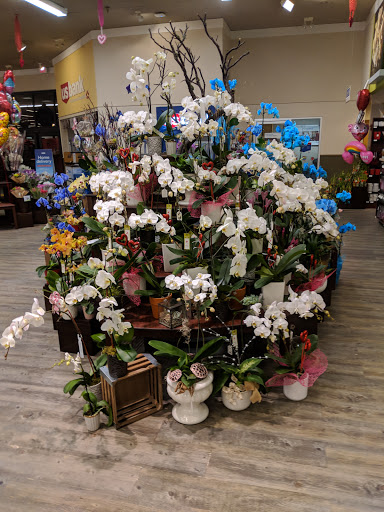 Vons image