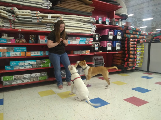 Pet Supply Store «Petco Animal Supplies», reviews and photos, 438 Southbridge St, Auburn, MA 01501, USA