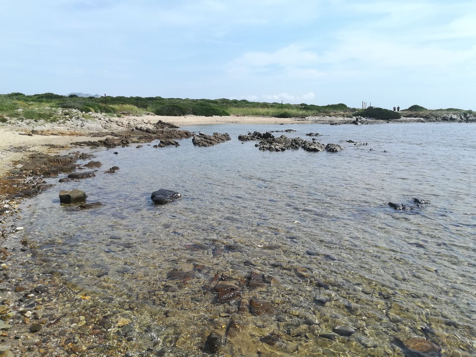 Foto av Spiaggia Punta Negra beläget i naturområde