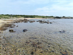 Spiaggia Punta Negra'in fotoğrafı doğal alan içinde bulunmaktadır