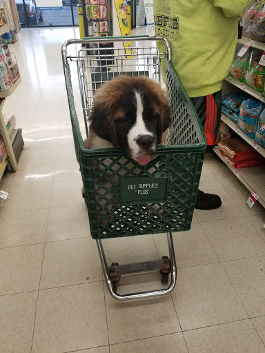 Pet Supply Store «Pet Supplies Plus», reviews and photos, 887 N Lexington-Springmill Rd, Mansfield, OH 44906, USA