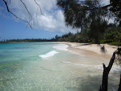 Foto di Plage de Kutema ubicato in zona naturale