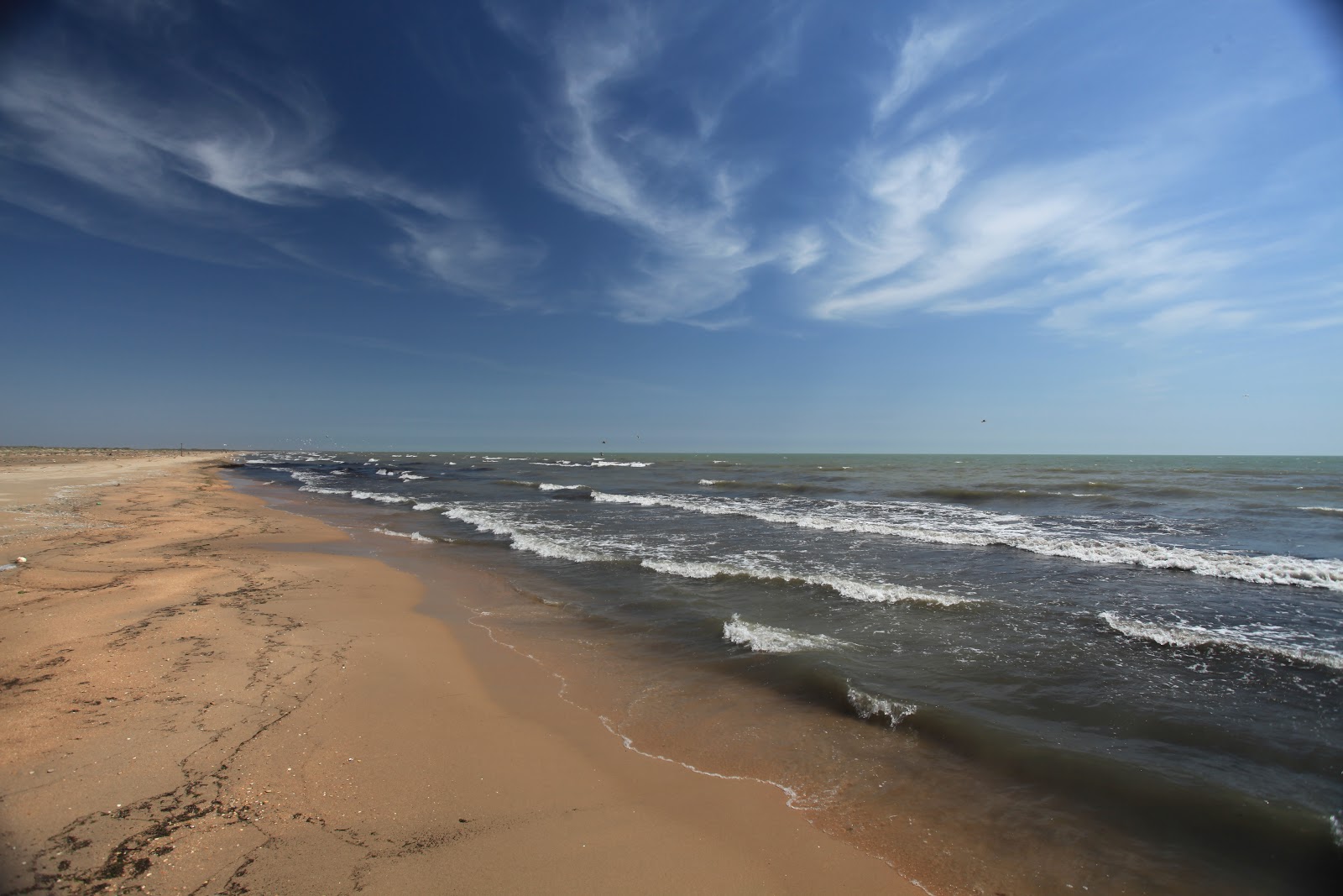 Fotografie cu Novochurtakh Beach zonele de facilități