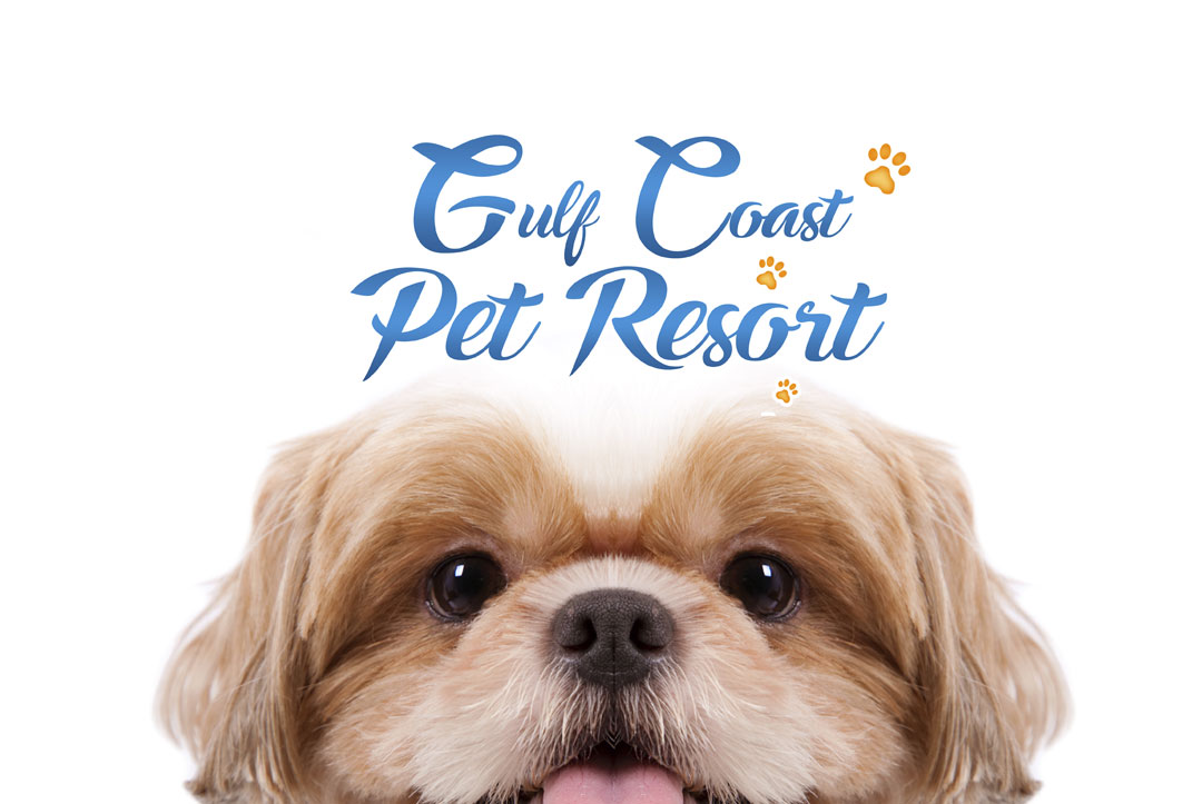 Gulf Coast Pet Resort - Boarding | Grooming | Playcare